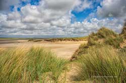  texel 2022